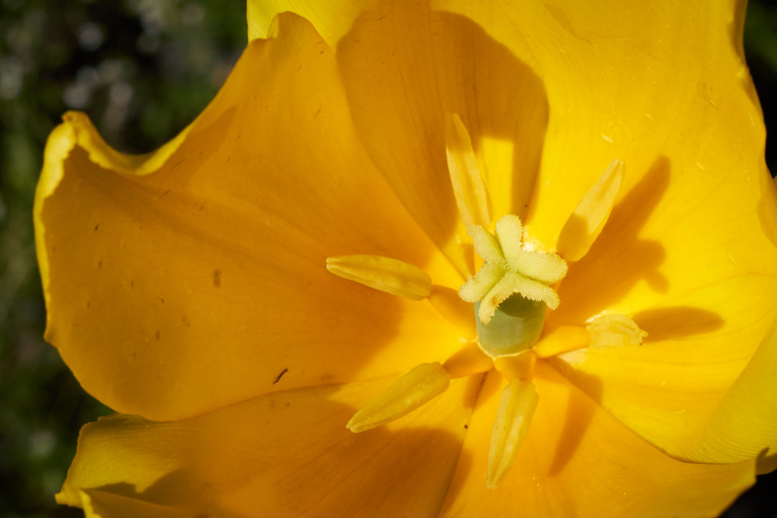 2022 05 08 Gruga 0064